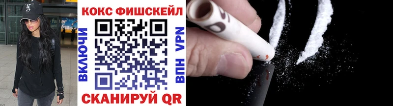 Купить закладки  Котельниково  COCAIN Fish Scale 